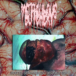 Meticulous Butchery - Induced Serotonergic Despoliation