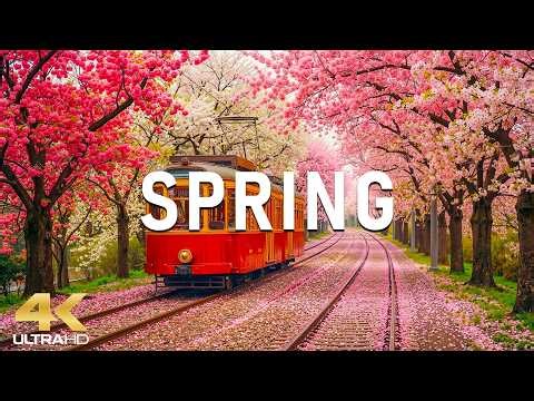 Spring in April 4K – Peak Spring 2026 🌸 Ocean of Roses, Vibrant Flower Fields and Peaceful Morning