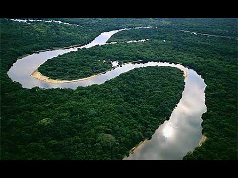 Amazon Rainforest, South America - Best Travel Destination