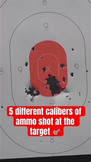 5 different caliber of ammo shot at the gun range target #gunrange