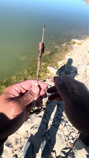 How to thread a worm 🪱 on fish hook#fishing#fishingshorts#howto