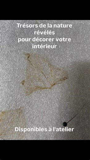 #naturelove #nature #artisanat #faitmaison #creatrice #déco #decoration #tableau #vegetal #tableaux #zen #naturel #décor | Aux fils d'Anne