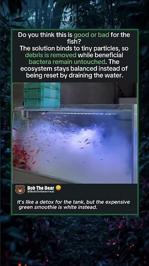 Smart Way to Clean an Aquarium?