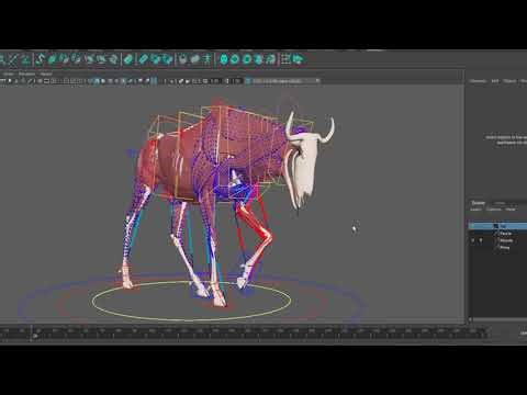 Inbibo Adonisfx Muscle Simulation