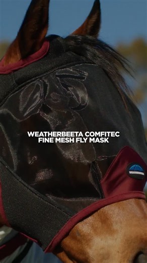 Horseland | Give your horse maximum protection from biting insects and flies this summer with the WeatherBeeta ComFiTec Fine Mesh Fly Mask 🤩 Made from... | Instagram