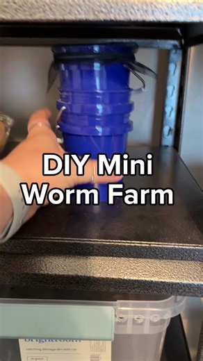 DIY Mini worm farm update! I made this tiny system out of mini Lowe’s buckets. This isn’t the most efficient system but it’s adorable. #vermicompost #vermicomposting #wormcastings #wormfarm #creatorsearchinsights