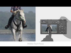 Introducing Sony Alpha 6500 the Palm-sized all-rounder