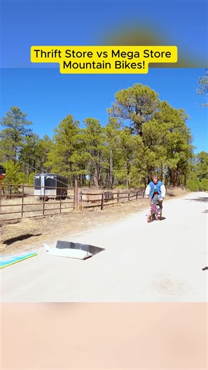 Thrift Store vs Mega Store Mountain Bikes Comparison