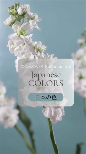 Japan's rich cultural heritage and natural beauty are vividly expressed through its unique and symbolic color palette. Japanese colors, or