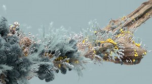 In Bloom | Flower Shot | SideFX