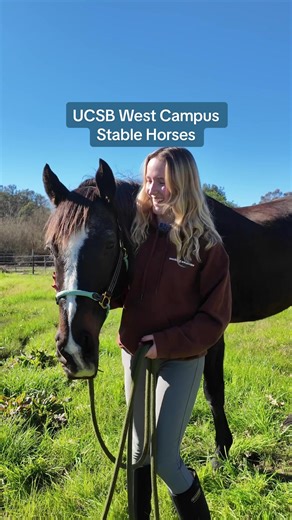 Explore UCSB's Unique Student-Run Horse Stables