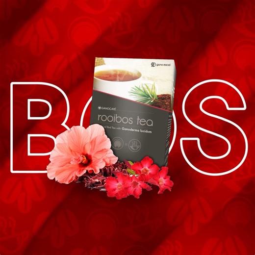 2.4K views · 28 reactions | Sip your way to wellness with our Rooibos Tea!  Infused with Ganoderma, this caffeine-free herbal tea balances and cleanses your body with each delicious sip. ✨ ganoexcel.us #HealthyTea #Ganoderma #GanoExcelUSA | Gano Excel USA | Facebook