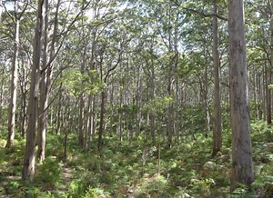 Environmental Humanities | Research | UWA