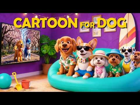 Best Cartoons for Dogs to Watch: In Colors They Can See, Keep Dog Calm & Happy🐶With Calming Music