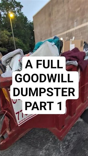 PART 1: What it looks like to dive at an over-flowing Goodwill Dumpster #dumpsterdivingrookie