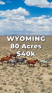 405K views · 1.6K reactions | WYOMING LAND for SALE. This 80 Acre...