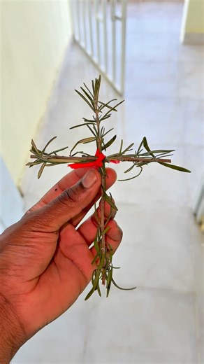 Maestra Bioledys on Instagram