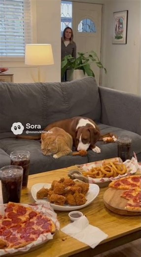 Busted! Cat & Dog Feast on Pizza, Owner Walks In, Pets Instantly Play Dead! 🤣🍕
