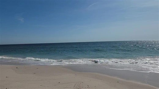 Good morning from IBSP... Tuesday, April 29th. Air temp: 57 degrees Water temp: 50 degrees Winds: SSW 14 m.p.h. High tide: 9:35 a.m. Low tide: 3:43 p.m. | Island Beach State Park