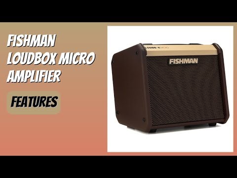REVIEW (2026): Fishman Loudbox Micro Amplifier. Features