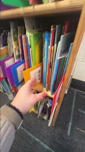 Here’s how I organize my books by theme and teaching order