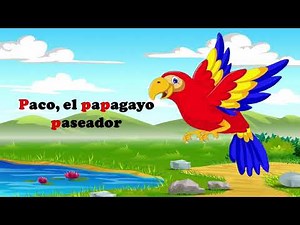 Paco, el papagayo paseador
