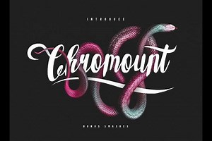 7.1K views · 193 reactions | ►►Get "The Celebration Bundle" with 30 amazing fonts and a full commercial licence! ►►Get it for only $24.00: https://fontbundles.net/celebration-fonts-bundle/rel=lQLG0u The Deal expires in less 24h▼▼ | Free Typography | Facebook