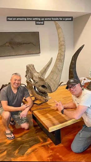 instonefossils on TikTok