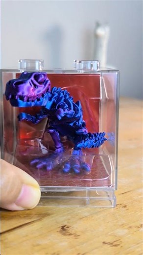 Dino T-Rex Pour: Jelly Belly into Turtle Dish Joy 🐢🍬🦖