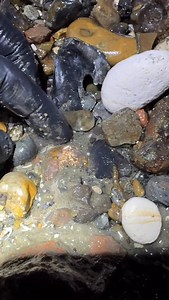 8.1K views · 2.8K reactions | ✨What a MEDIEVAL GOLDEN STUNNER this...