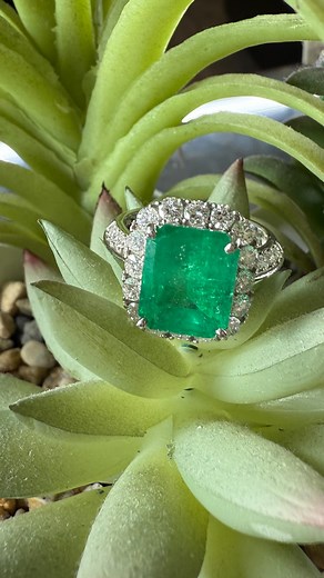 4 comments | Emerald: the gem of queens and visionaries. A color born from the heart of the earth — rich, deep, unforgettable. Wear the energy of strength and elegance. A masterpiece of elegance — this emerald ring captures the brilliance of nature in every facet. Set in shimmering diamonds, it’s more than jewelry — it’s a statement of timeless grace. #aumburma #folsomhistoricdistrict #EmeraldRing #LuxuryJewelry #TimelessElegance | AUM BURMA | Facebook