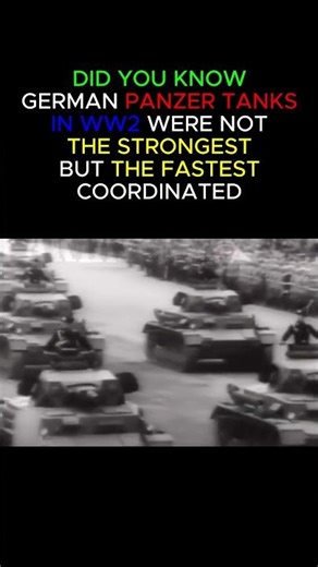 Did You Know This About Panzer Tanks In WW2