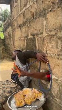 scarcity Christmas fruit #shorts #shorts #shorts #shorts #shorts