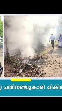 പാലക്കാട് അങ്കണവാടി വർക്കർക്ക് പാമ്പ് കടിയേറ്റു | Palakkad Snake Bite | Malayalam News | N18S