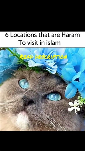 read description👇⚠️ ‪@islamicwissdm‬ #viral #cat #trending #memes #ramadan2026 #cute #shortvideo