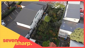 112K views · 1.8K reactions | A Dunedin family has transformed a student hangout into a productive food forest, swapping graffiti for grapes. The central city backyard now produces hundreds of kilograms of fruit, and has species you wouldn't expect to see thriving in southern climes. Jendy Harper checked it out. | Seven Sharp | Facebook