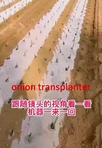 Onion Planter Vegetable Seedling Chilli Transplanter Tractor Tractor Tractor Onion Planting Transplanter