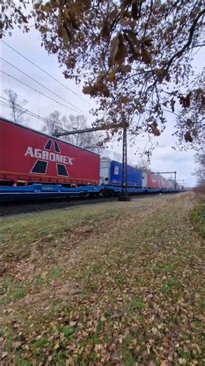 Vectron PKP Cargo + Naczepy DFDS / AGROMEX + WoW 😏😏😏