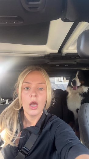 Little Bernie update! Good news is - his eyes are in great shape! Bad news is we’ve regressed back to having major vet anxiety despite all the amazing people that have been working with Bernie! Next step to have a Neuro consult just to rule anything scary out but everyone is optimistic nothing serious is going on. | bigcitybernie