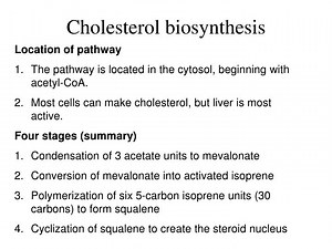 Cholesterol biosynthesis - SlideServe