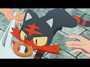 Litten amv roar Pokemon