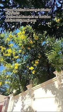 HAPPY SPIRITUAL MESSAGES SUNDAY✝💛💛💛🧡🧡🧡💛💛💛✝ (For Nov 2, 2025)