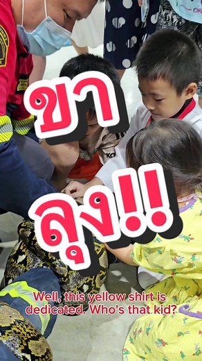 ขาลุง ขาลุง 🐍😱 #งูเหลือม #จับงู #งู #จับงูมือเปล่า #ภิญโญคนจับงู #มือปราบอสรพิษ #snake #pinyothesnakewrangler #python #ข่าวงู #ถูกงูกัด