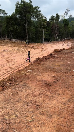 Construction Activities in a Forested Mountain Area