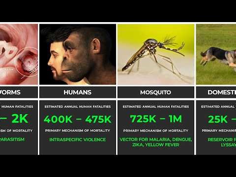 Top 50 Deadliest Animals in the World (Ranked by Human Kills)