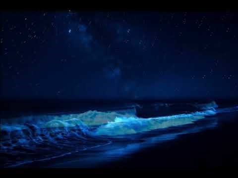 9 Hours • Gentle Rolling Ocean Waves (No Music) • Moonlight Beach ASMR for Deep Sleep