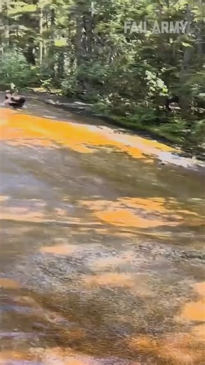 7.9M views · 23K reactions | FailArmy on Reels | Facebook