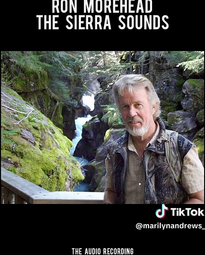 The Sierra Sounds are audio recordings made by Ron Morehead and Al Berry, allegedly capturing Bigfoot vocalizations in the Sierra Nevada mountains beginning in 1971 #Bigfoot #Sasquatch #Nevada #Audio #closeencounter