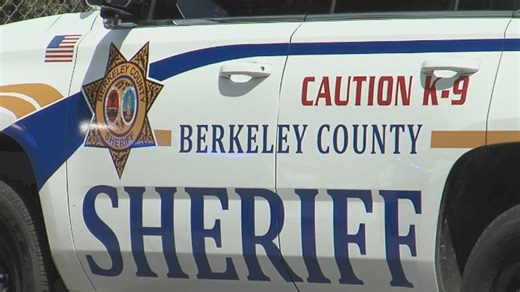 Man escapes custody near Hill-Finklea; Summerville police warn public not to approach