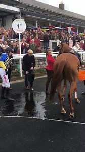 1.4K views | Chepstow Racecourse on Reels | Facebook